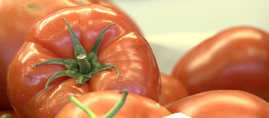 salsa de tomates verdes